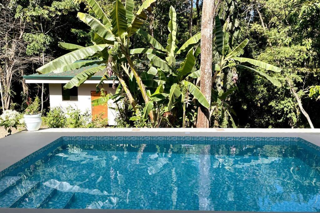 An Abundance Of Wildlife At Jungle Glory Home Abajo Nationalpark Nationalpark Manuel Antonio Exterior foto