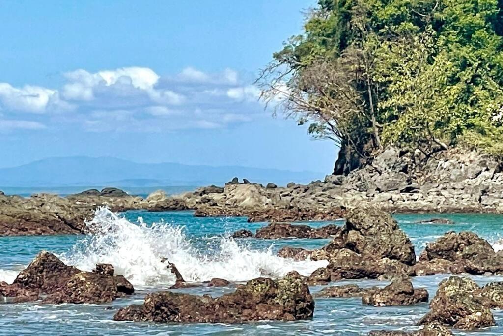 An Abundance Of Wildlife At Jungle Glory Home Abajo Nationalpark Nationalpark Manuel Antonio Exterior foto