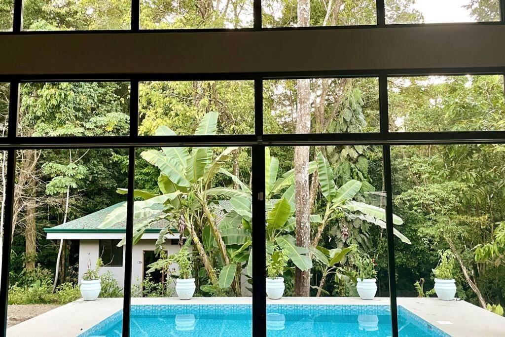 An Abundance Of Wildlife At Jungle Glory Home Abajo Nationalpark Nationalpark Manuel Antonio Exterior foto