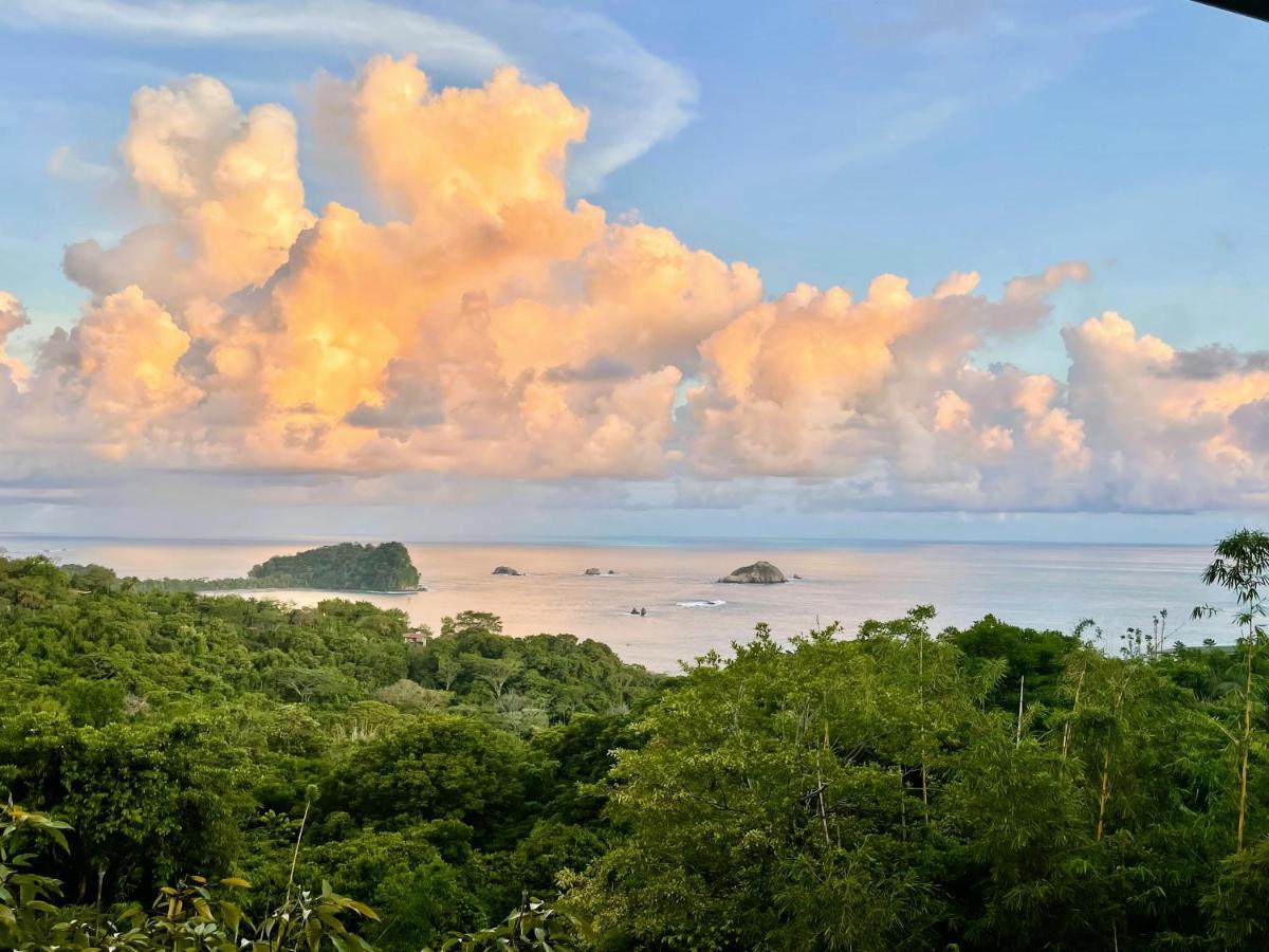 An Abundance Of Wildlife At Jungle Glory Home Abajo Nationalpark Nationalpark Manuel Antonio Exterior foto